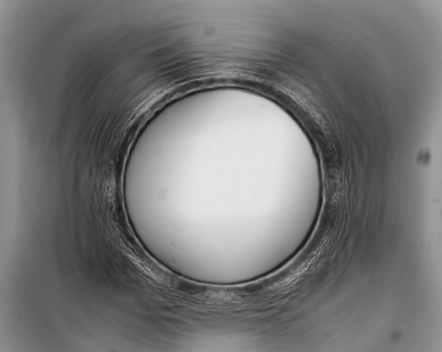 X0000098190969200805151201