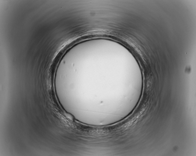 X0000098190973200805151201
