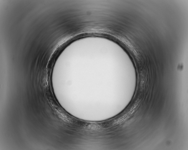 X0000098190974200805151201