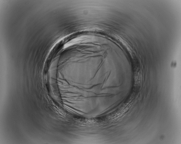 X0000098190975200805151201