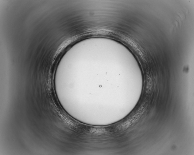 X0000098190978200805151201