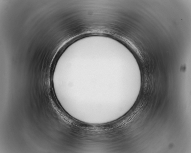 X0000098190980200805151201