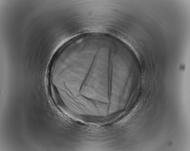 X0000098190983200805151201