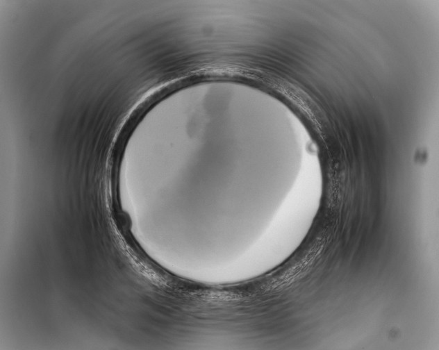 X0000098190984200805151201
