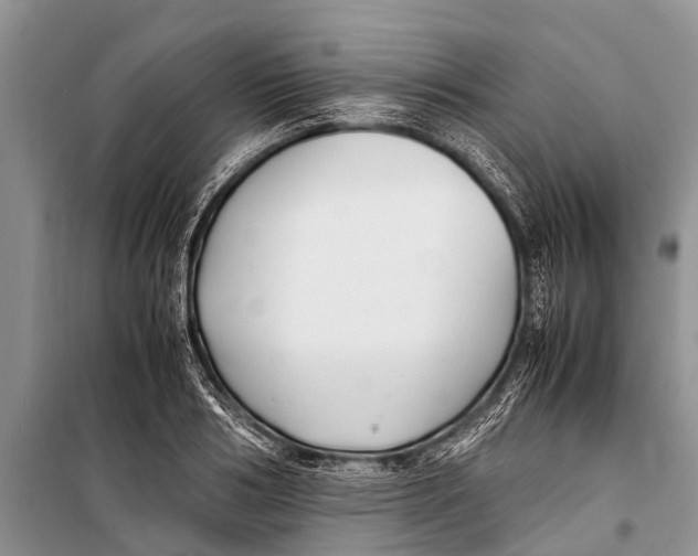 X0000098190986200805151201