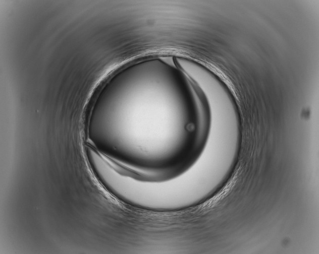 X0000098190989200805151201