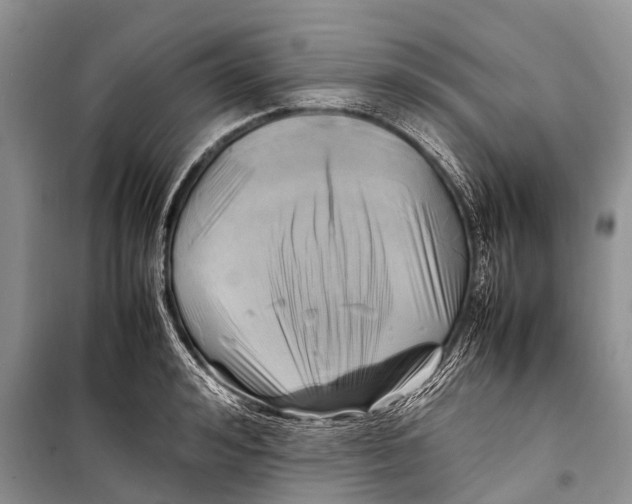 X0000098190992200805151201