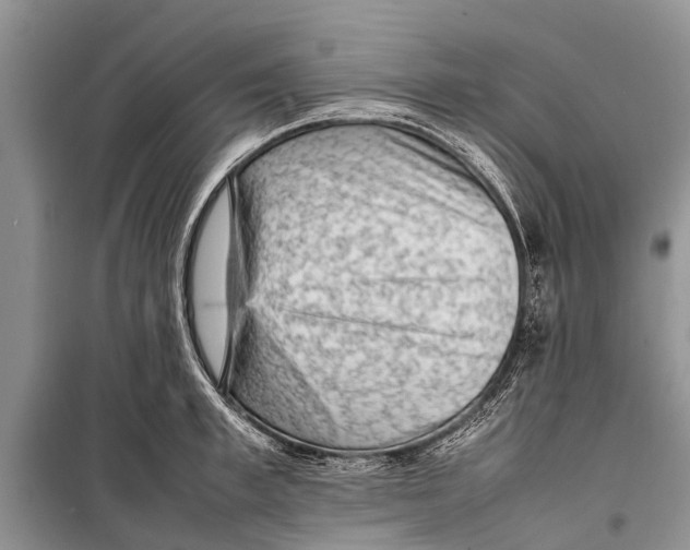 X0000098190997200805151200