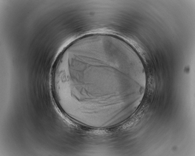 X0000098190998200805151200