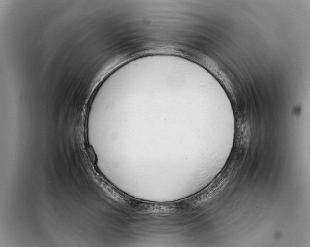 X0000098191002200805151200