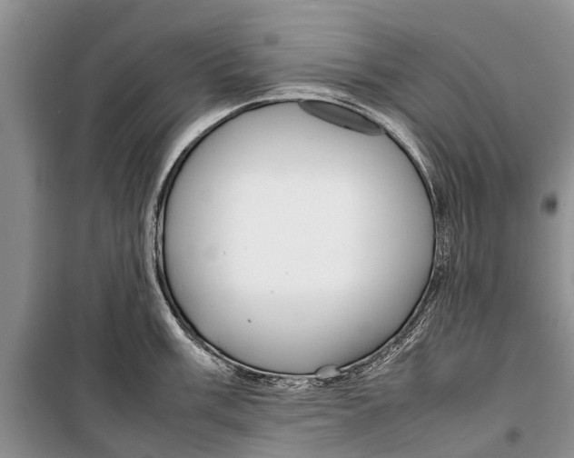 X0000098191003200805151200