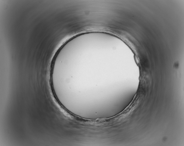 X0000098191005200805151200