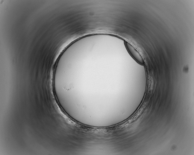 X0000098191006200805151200