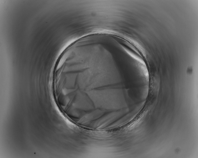 X0000098191007200805151200