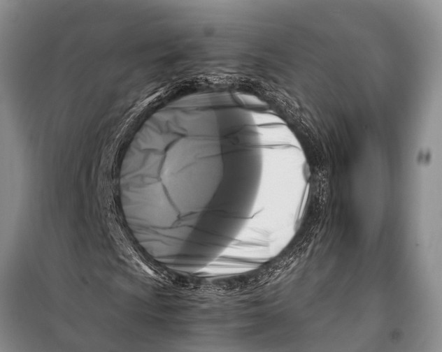 X0000098191009200805151200