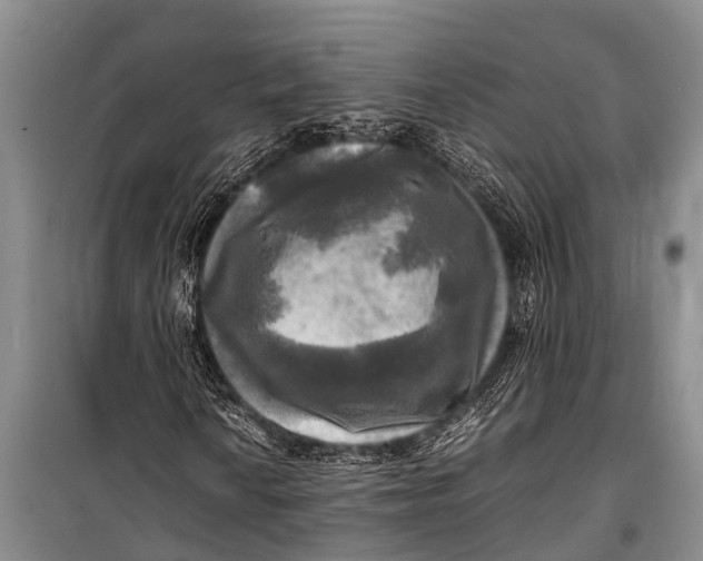X0000098191010200805151200