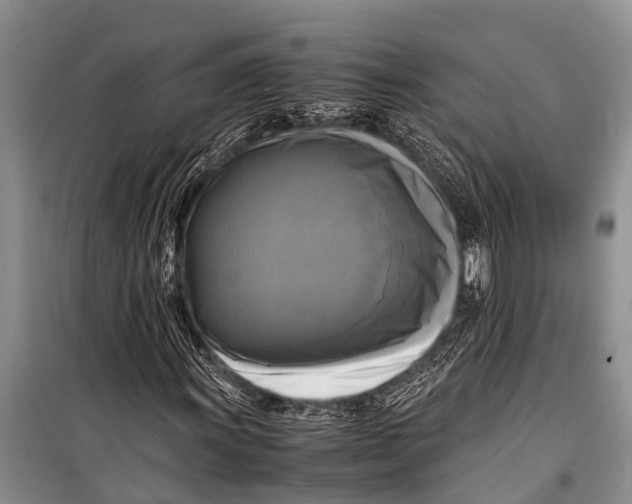 X0000098191011200805151200