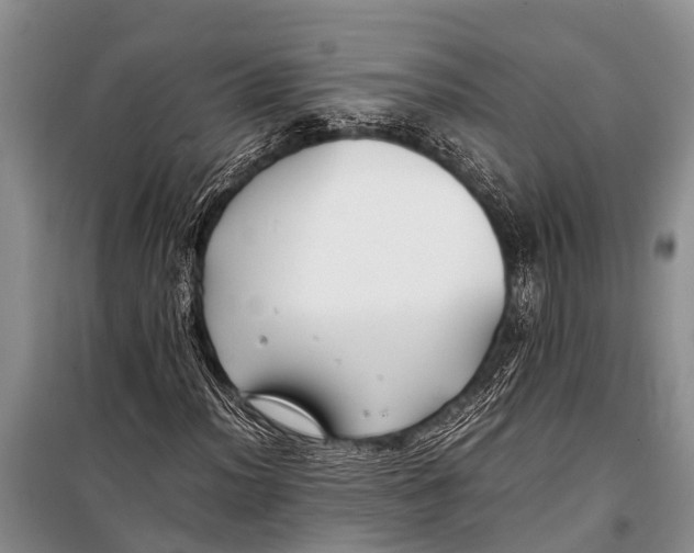 X0000098191012200805151200