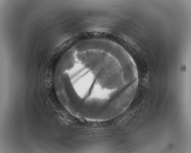 X0000098191014200805151200
