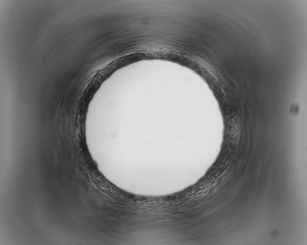 X0000098191016200805151200
