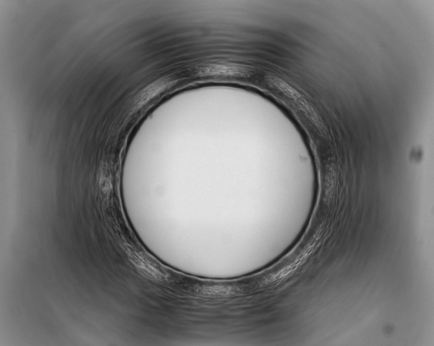 X0000098191017200805151200
