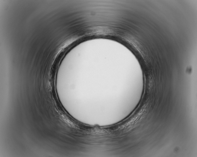 X0000098191018200805151200