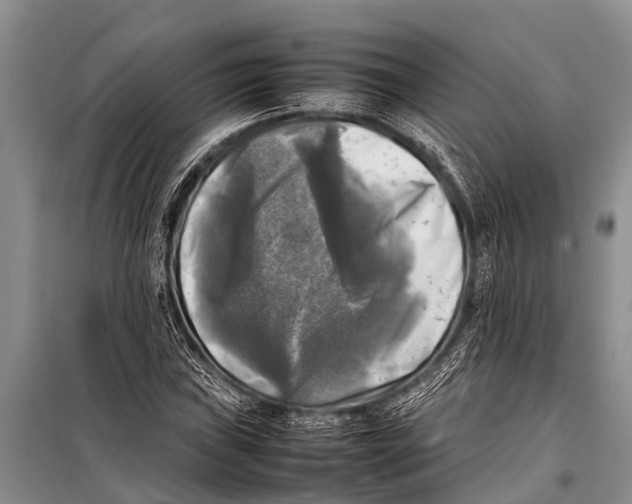 X0000098191019200805151200