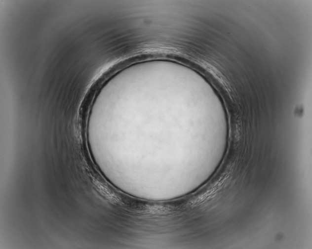 X0000098191022200805151200