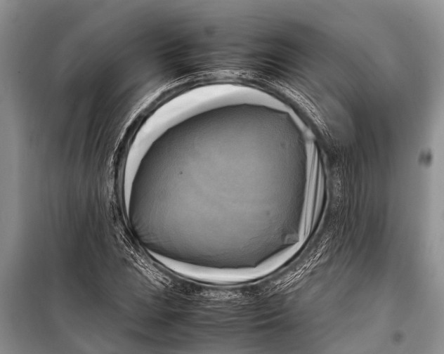 X0000098191023200805151200