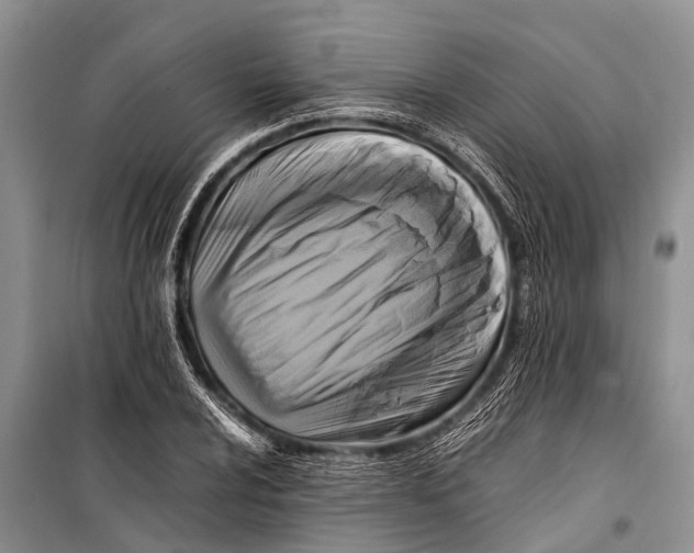 X0000098191024200805151200