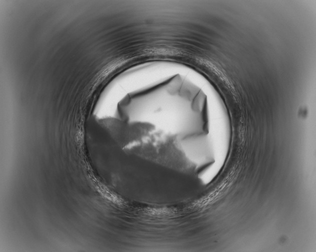 X0000098191025200805151200