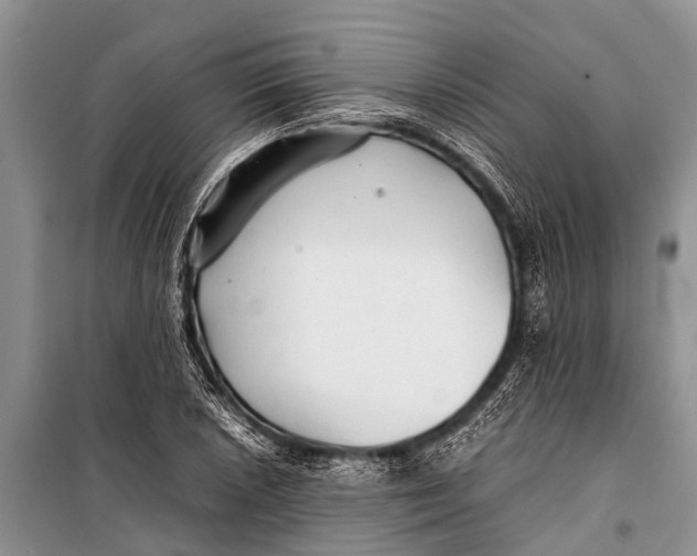 X0000098191026200805151200
