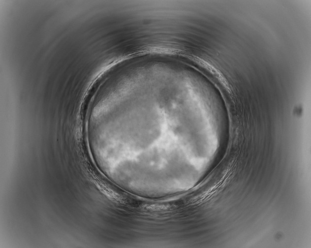 X0000098191027200805151200