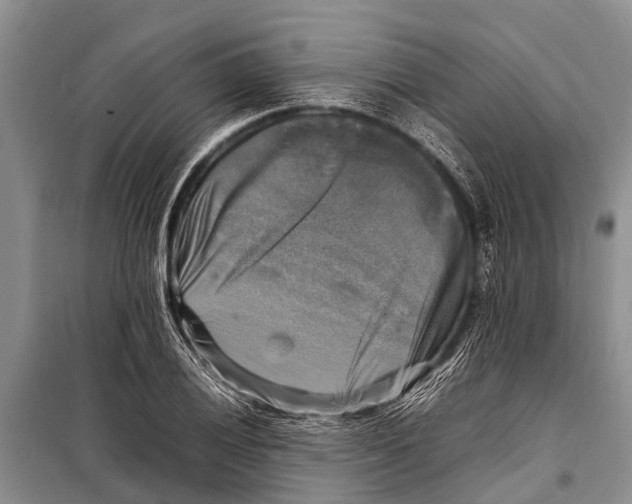 X0000098191028200805151200