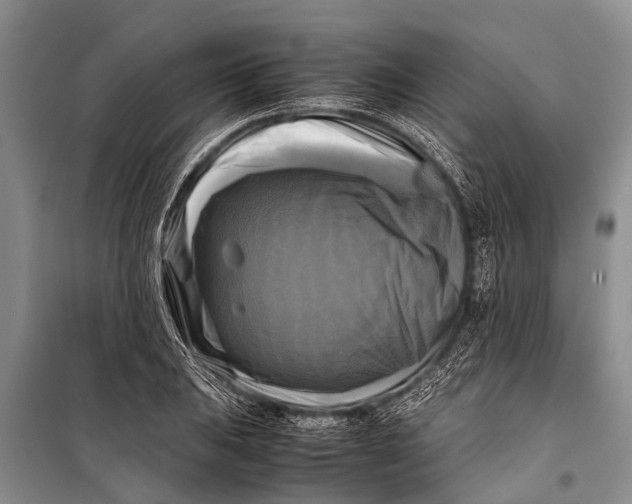 X0000098191031200805151200