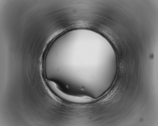 X0000098191034200805151200