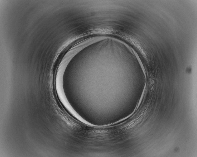 X0000098191035200805151200