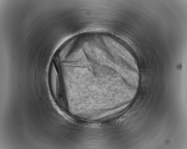 X0000098191038200805151200