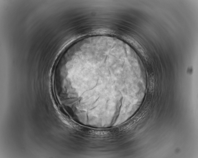 X0000098191039200805151200