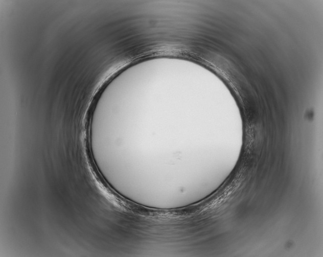 X0000098191042200805151200