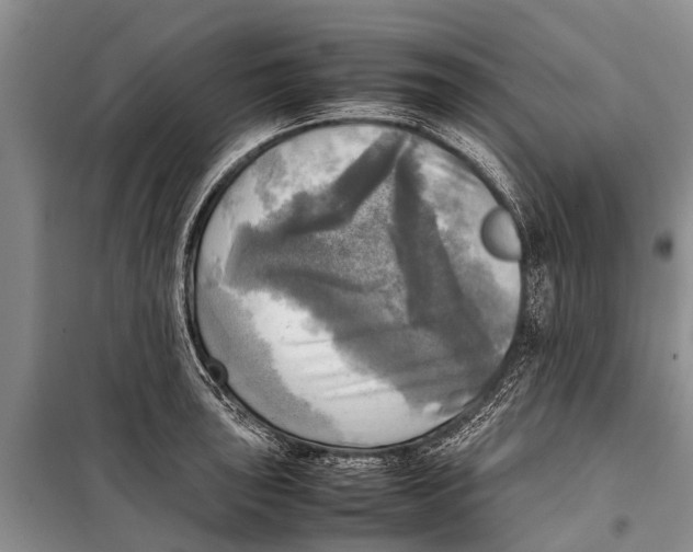X0000098191043200805151200