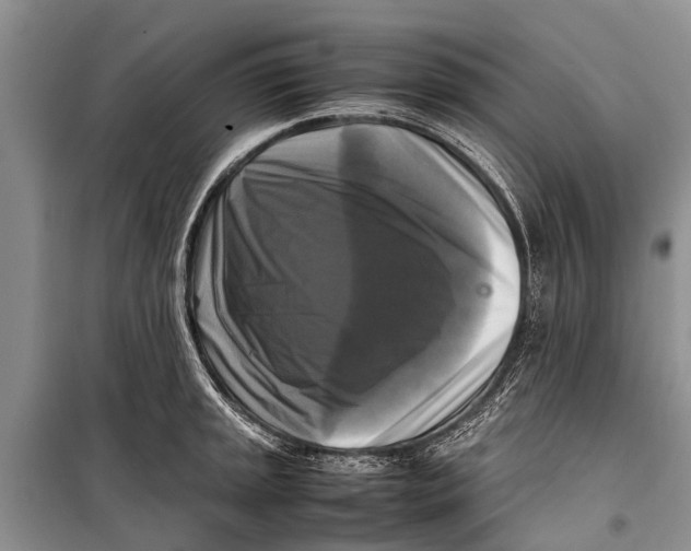 X0000098191045200805151200