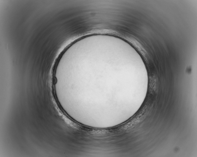 X0000098191046200805151200