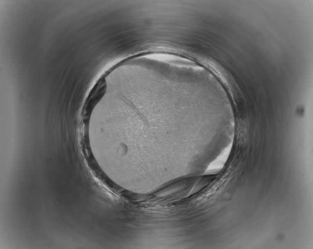 X0000098191048200805151200