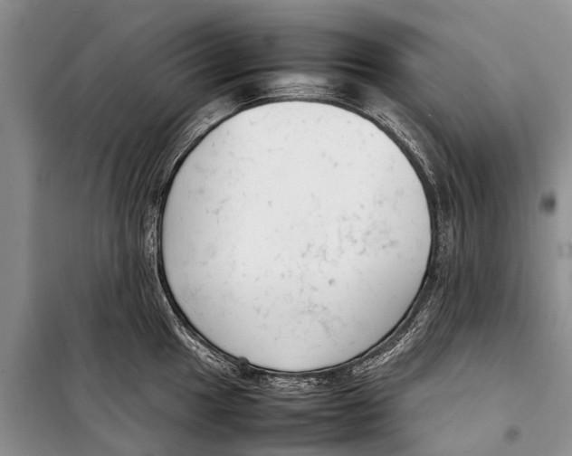 X0000098191049200805151200