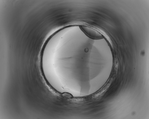 X0000098191053200805151200