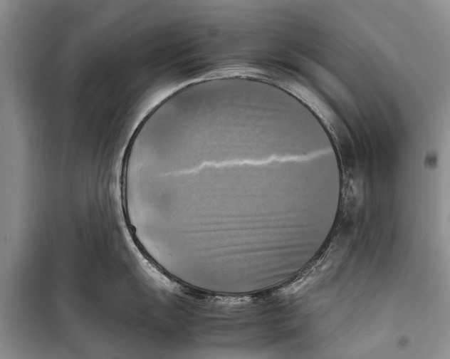X0000098191055200805151200