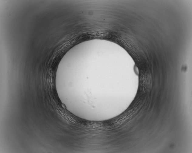 X0000098191058200805151200