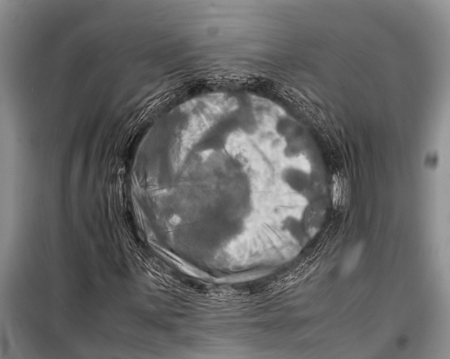 X0000098191059200805151200