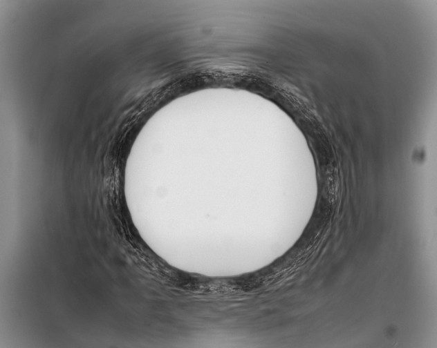 X0000098191061200805151200